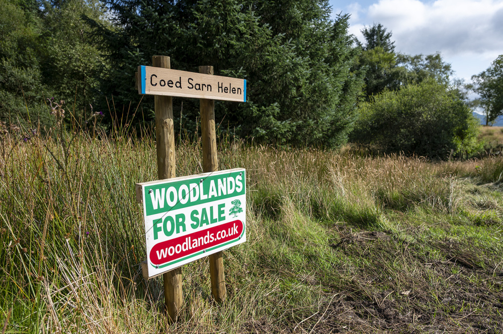 Croeso - Welcome to Coed Sarn Helen 