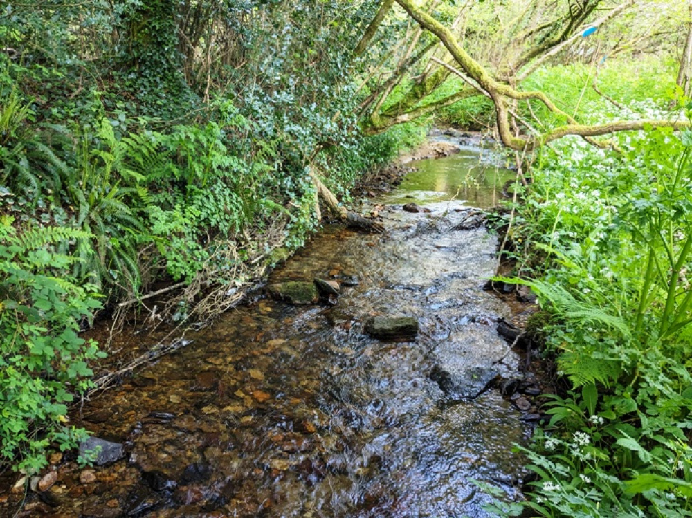 Stunning stream lined edge