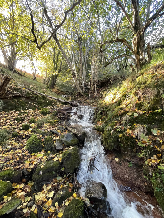 Small stream on the south-eastern side 
