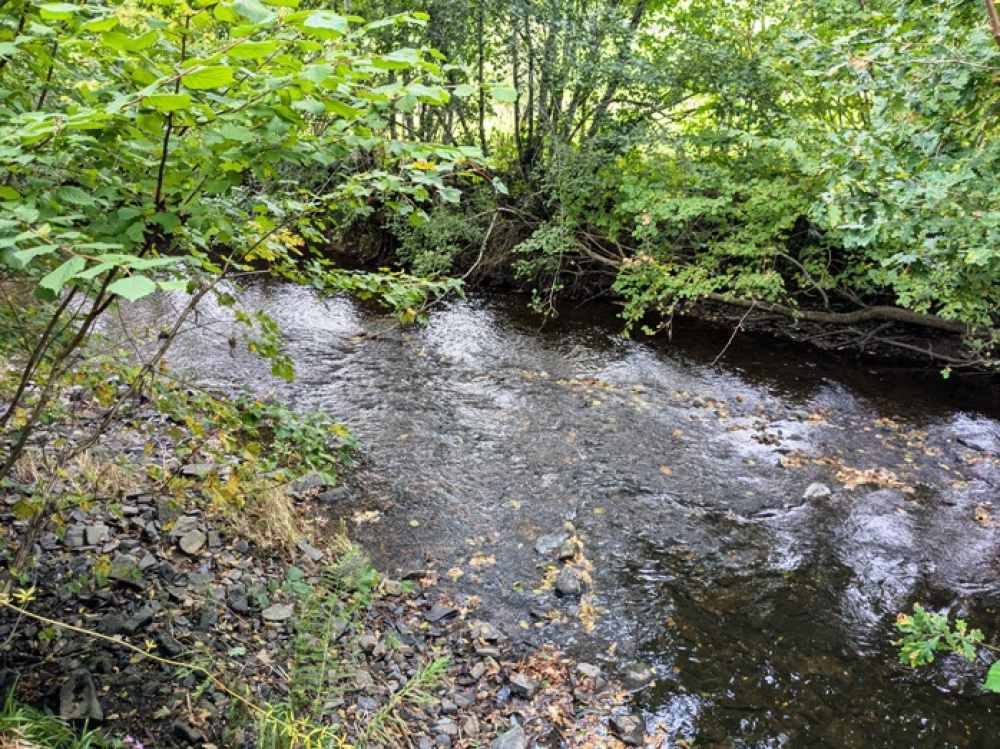 River frontage along the Little Dart River