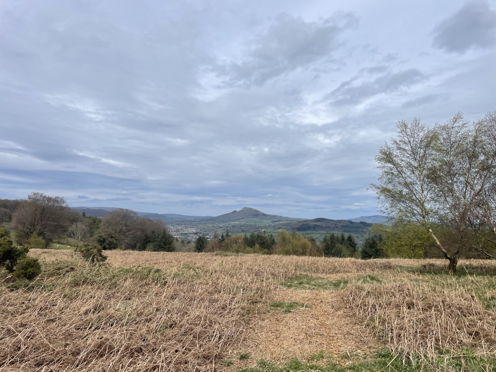 Eastern view toward Ysgyryd.