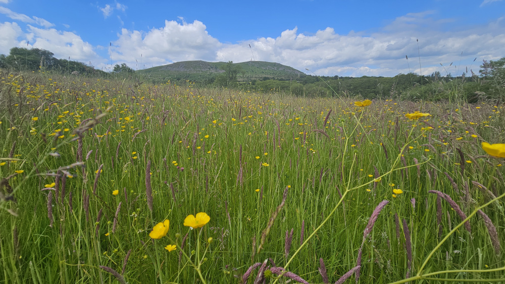 The shropshire hills in the background