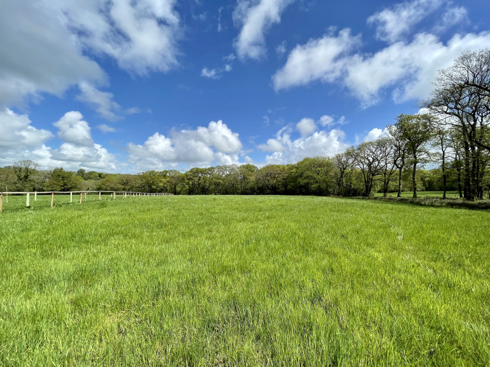Cover Meadow is an idyllic hideaway with both open meadow and woodland