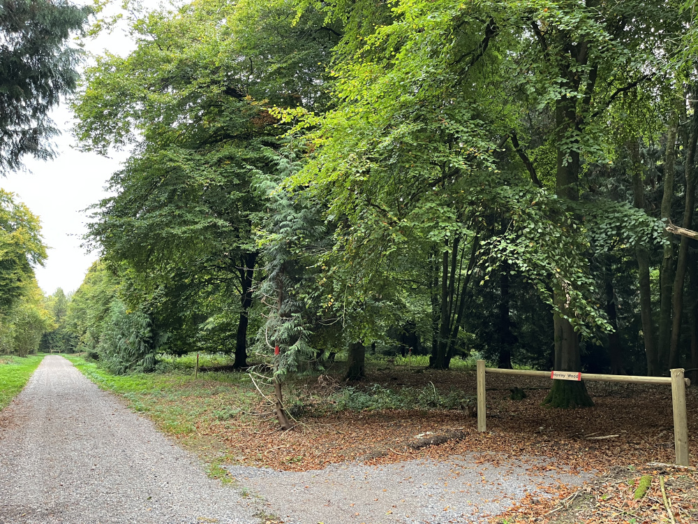 Excellent access to Henley Wood