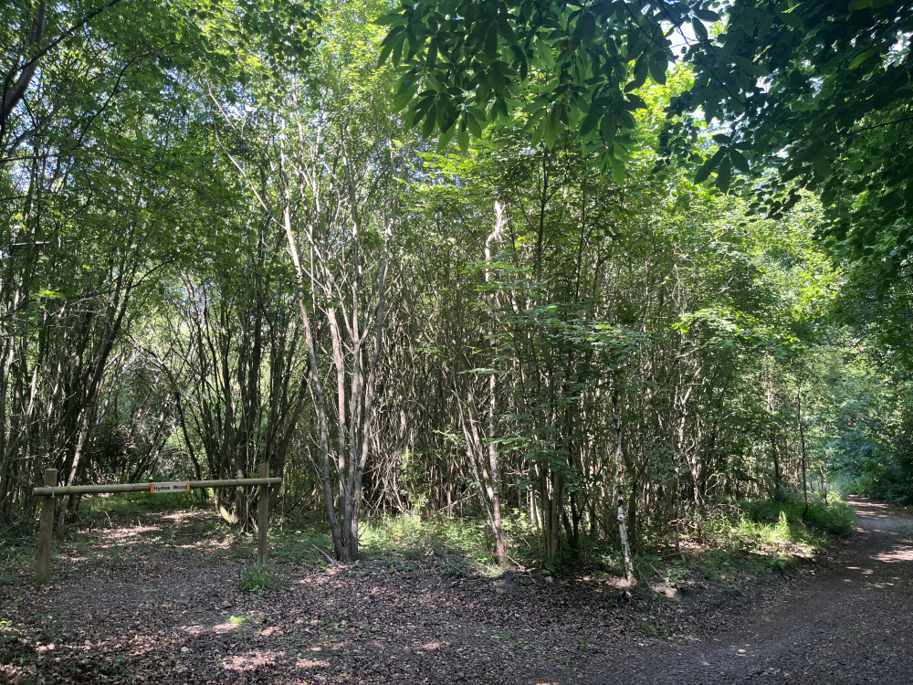 Hydes Wood entrance