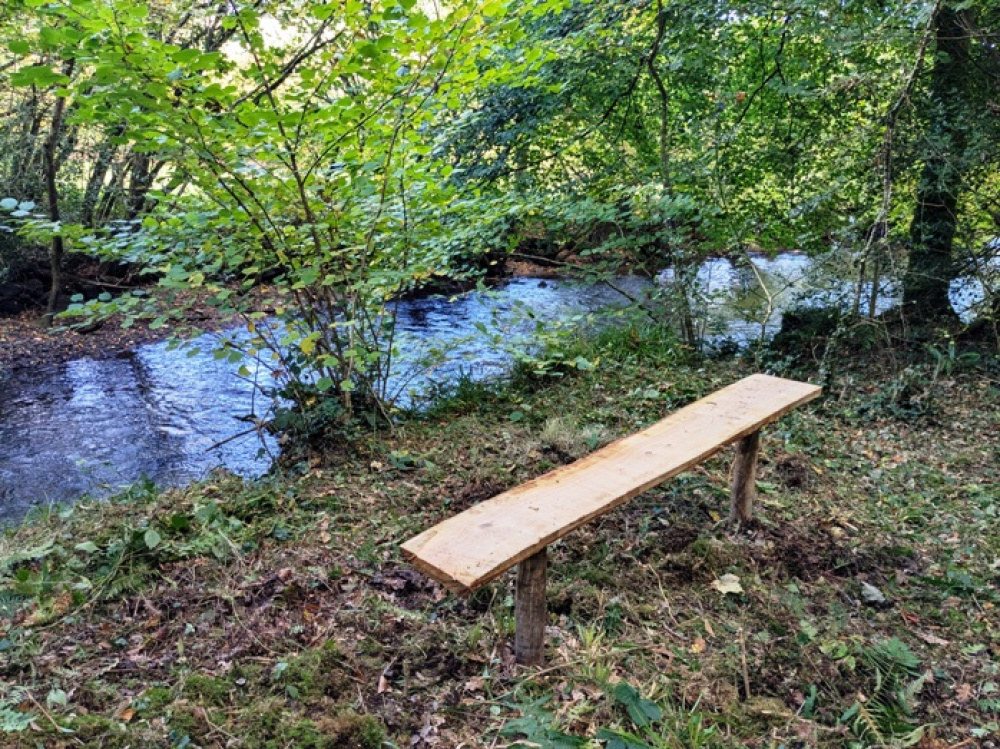 Looking over the River Inny