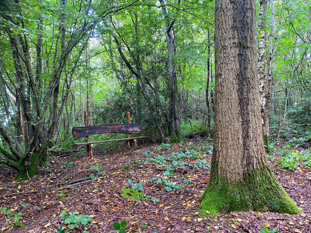 The rustic style bench in a small private clearing