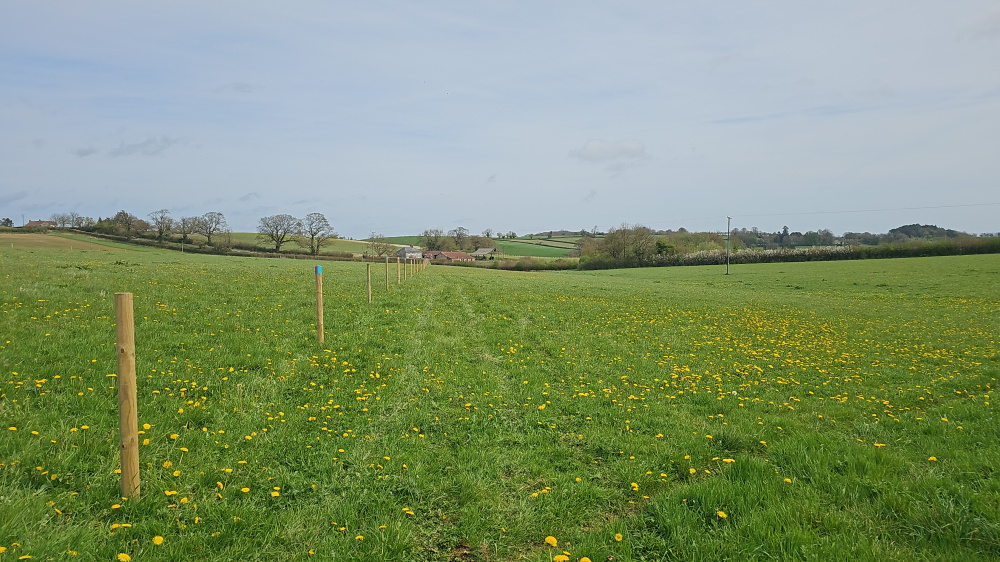 The view east along the northern boundary markers
