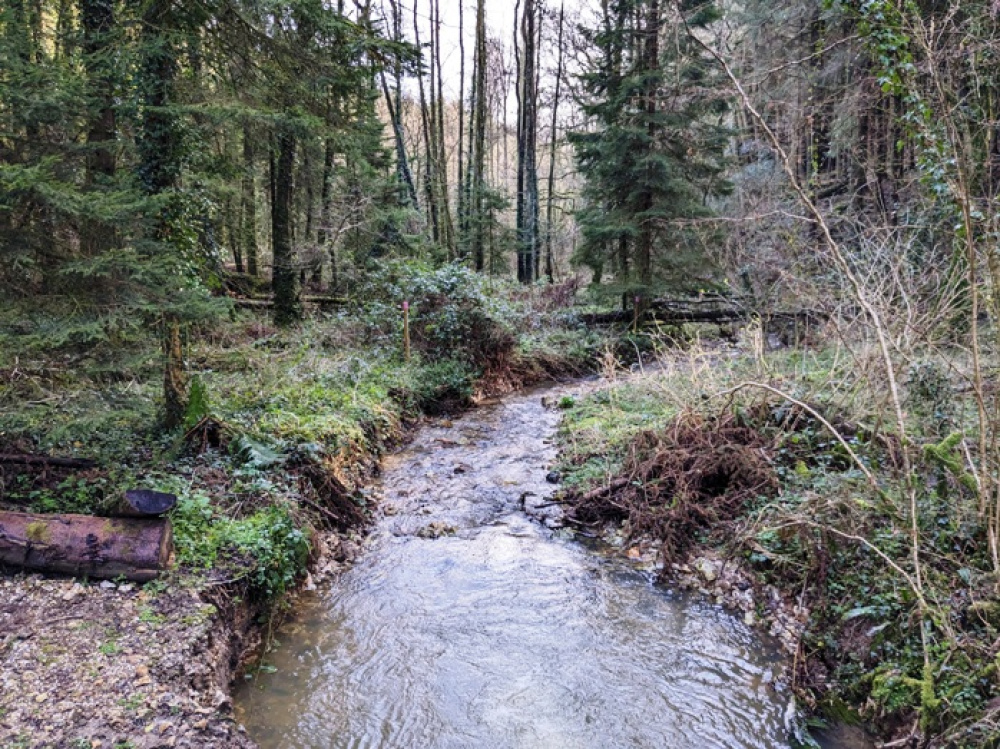 A natural 'Plunge pool' has formed