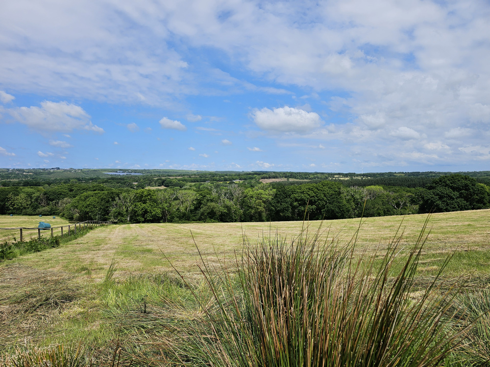 Blue skies over Matchstick Meadow