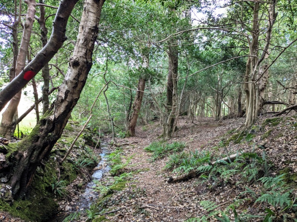 Stream flowing along the north western edge