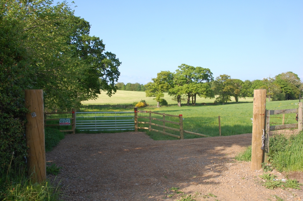Main entrance and hard standing