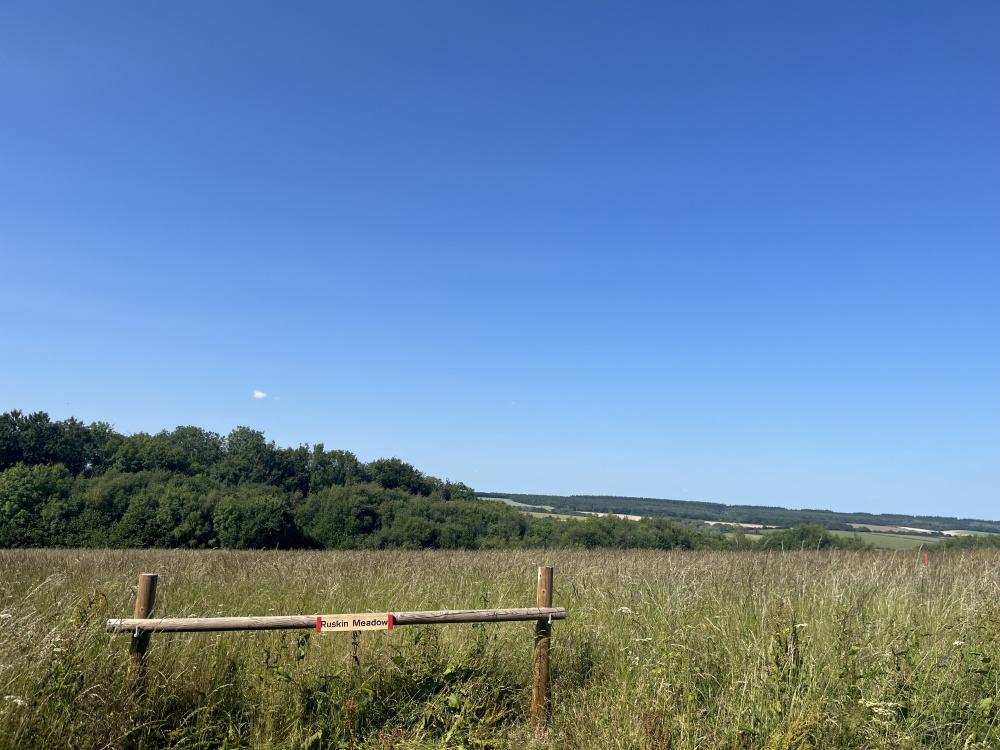 The meadow has superb views from its elevated position