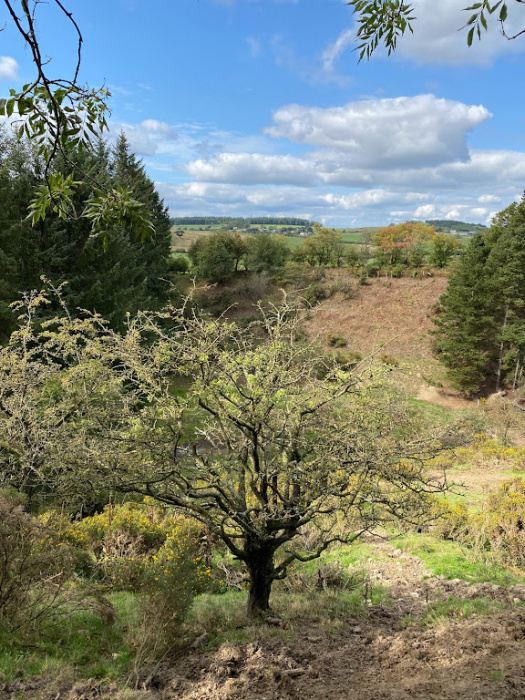 Top of slope with both sides of valley visible 