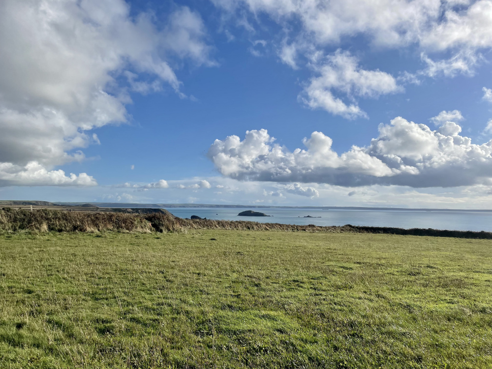 Slake Meadow is around 100m from the coastal path