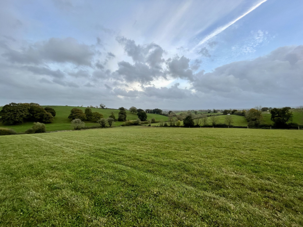 Views across Clandown Bottom from Slip Meadow