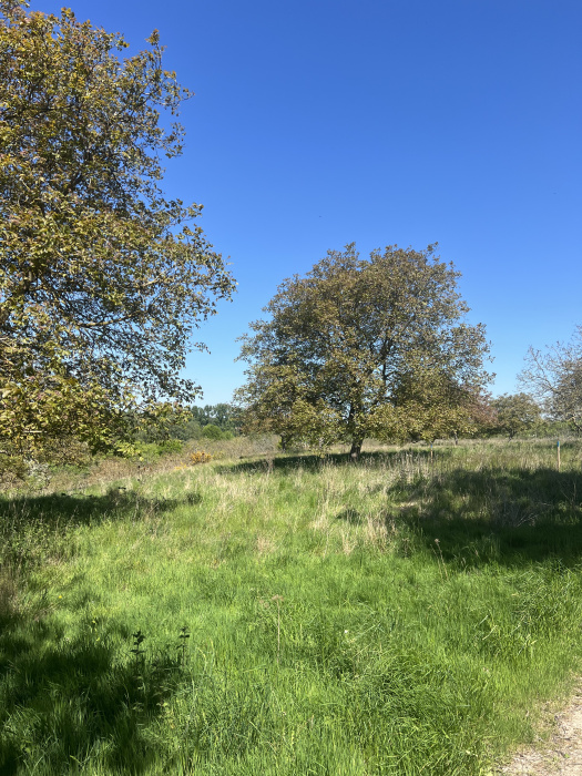 View across the ground. 