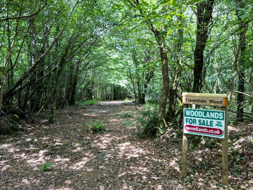 Entrance and private parking area