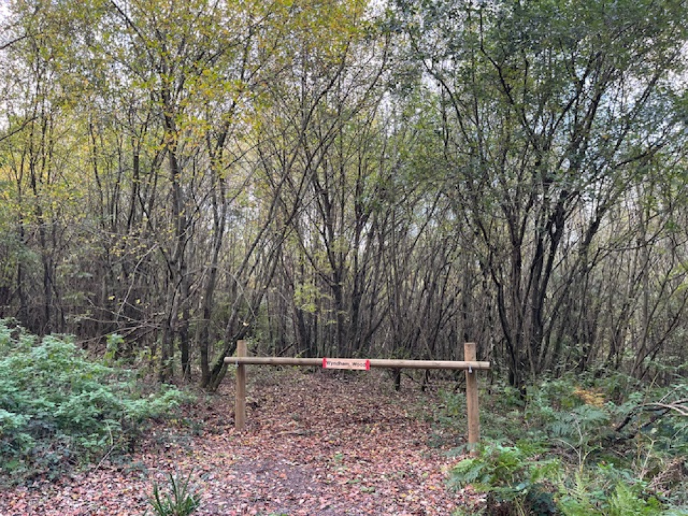 Ride stop at entrance